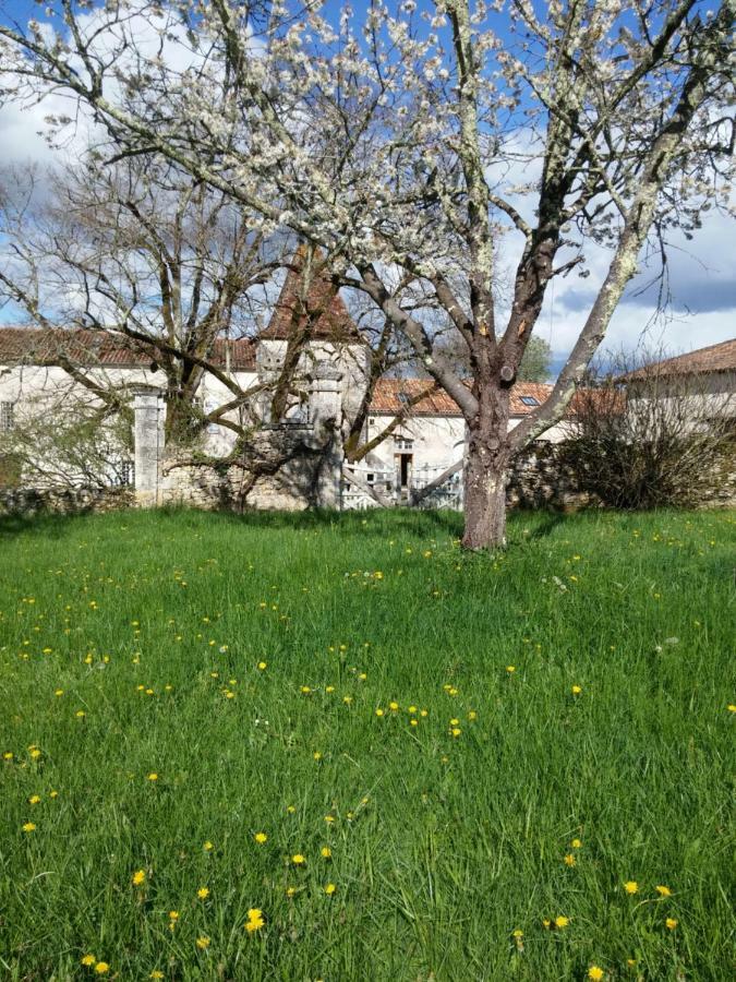 Chateau De La Combe Puyrenier Exterior foto